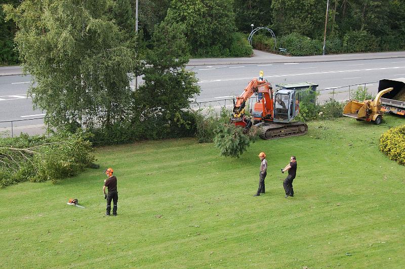 2008-09-15 Motorsavens hærgen langs vestbuen 5